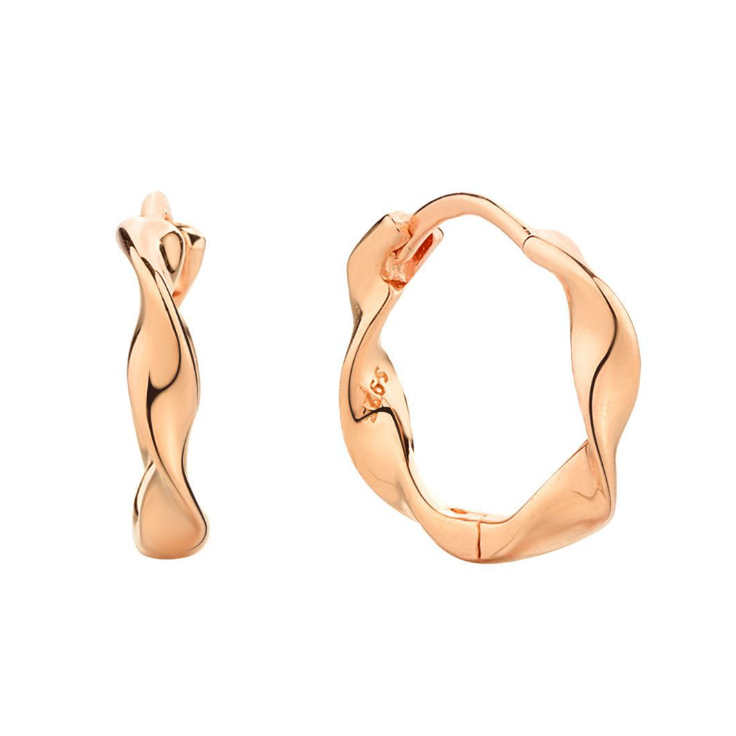 Sterling Silver Möbius Loop Earrings – VenusisCo